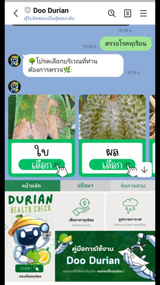 หน้าจอวิเคราะห์โรคจากภาพถ่าย