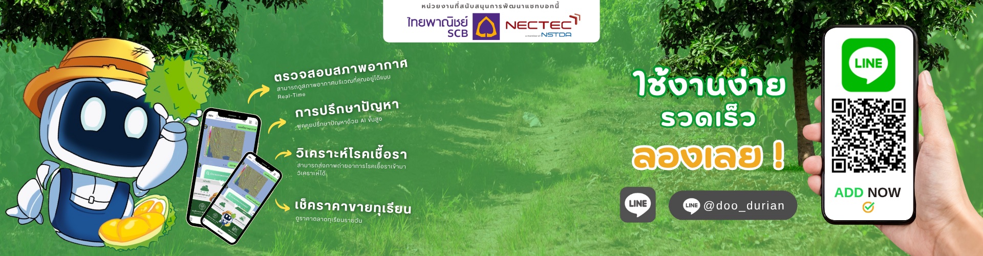 DooDurian — ตรวจสอบสภาพอากาศ ปรึกษาปัญหา วิเคราะห์โรคเชื้อรา และเช็คราคาขายทุเรียน
